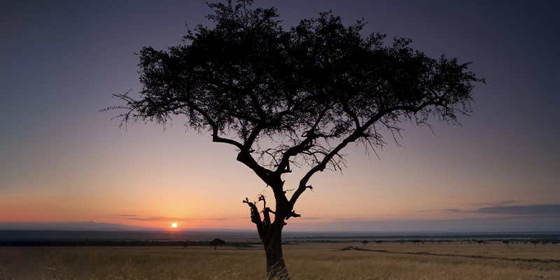 Puesta de sol sobre el paisaje de Kenia