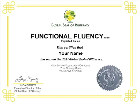 Functional Fluency Global Seal.