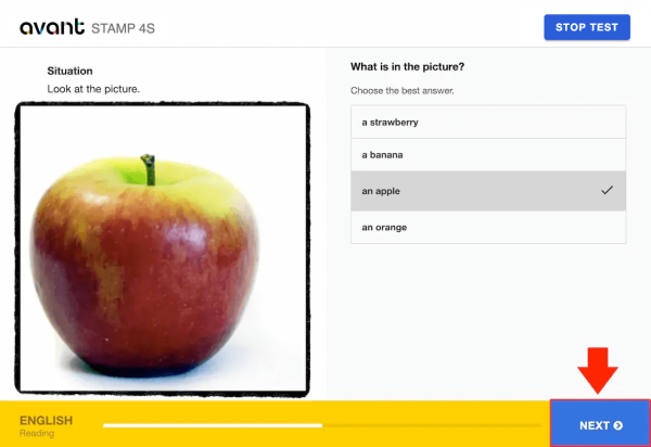 STAMP Pro Test Taker Guide | Avant Assessment